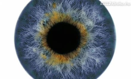 toxoplazma szem